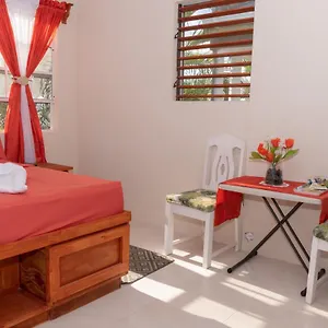 Edtricias Apartment Christ Church